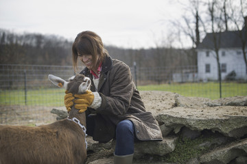 Photo: A small organic dairy farm with a mixed herd of cows and goats. Farmer working and tending to the animals. A small organic dairy farm with a mixed herd of cows and goats. Farmer working and tending to the animals.