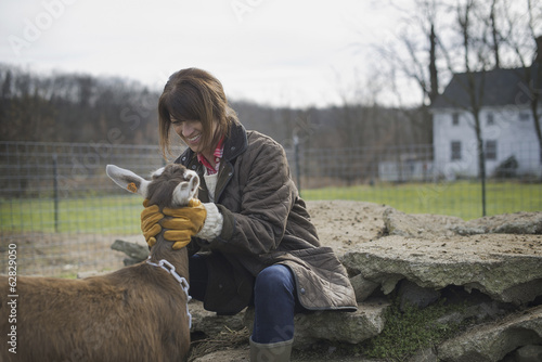 Photo: A small organic dairy farm with a mixed herd of cows and goats. Farmer working and tending to the animals. A small organic dairy farm with a mixed herd of cows and goats. Farmer working and tending to the animals.