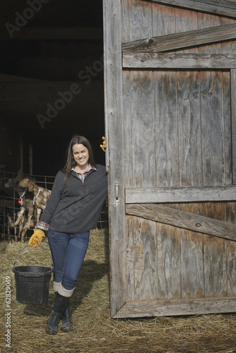 Photo: A small organic dairy farm with a mixed herd of cows and goats. Farmer working and tending to the animals. A small organic dairy farm with a mixed herd of cows and goats. Farmer working and tending to the animals.
