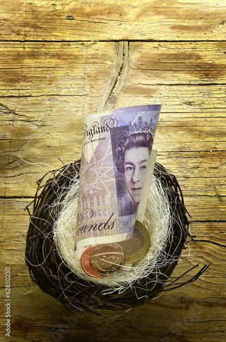 Photo: Pound sterling in the nest Pound sterling in the nest