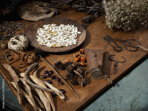 Photo: Collecting and storing the fruits of the garden for winter, dried seeds, herbs, nuts and vegetables. Seeds for the garden. Collecting and storing the fruits of the garden for winter, dried seeds, herbs, nuts and vegetables. Seeds for the garden.