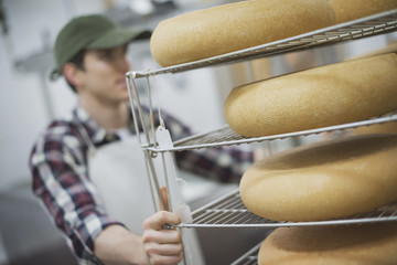 Photo: A small organic dairy farm with a mixed herd of cows and goats. Dairy building with large wheels of cheese maturing. A small organic dairy farm with a mixed herd of cows and goats. Dairy building with large wheels of cheese maturing.