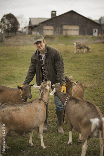 Photo: A small organic dairy farm with a mixed herd of cows and goats. Farmer working and tending to the animals. A small organic dairy farm with a mixed herd of cows and goats. Farmer working and tending to the animals.