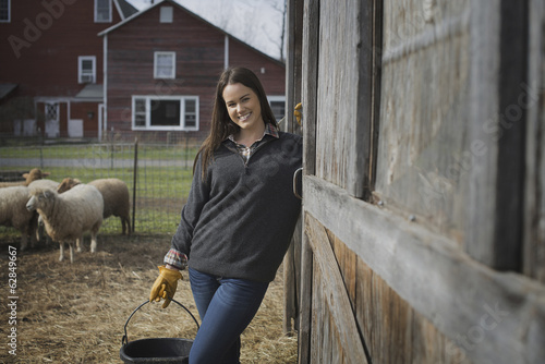 Photo: A small organic dairy farm with a mixed herd of cows and goats. Farmer working and tending to the animals. A small organic dairy farm with a mixed herd of cows and goats. Farmer working and tending to the animals.
