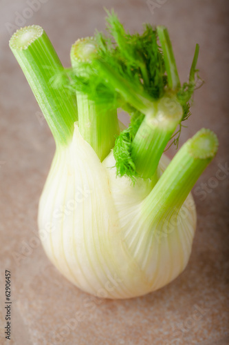 Photo: Fennel Fennel