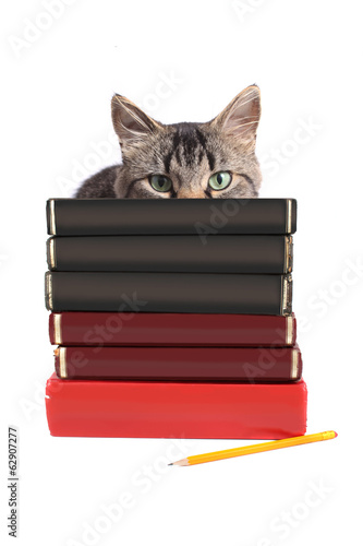 Photo: Blank books Blank books