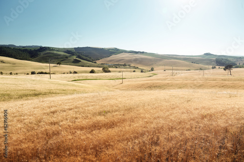 Photo: barley hills Tuscany, Italy barley hills Tuscany, Italy