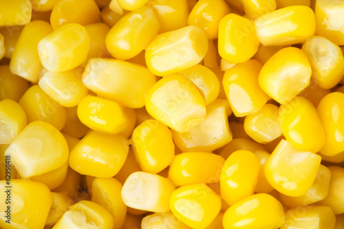 Photo: Sweet kernel corn background Sweet kernel corn background