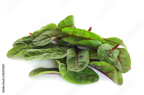 Photo: Mangold salad on white Mangold salad on white