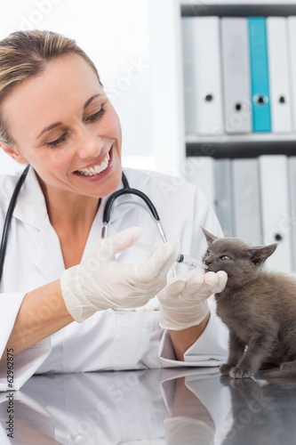 Photo: Veterinarian giving cat medicine Veterinarian giving cat medicine