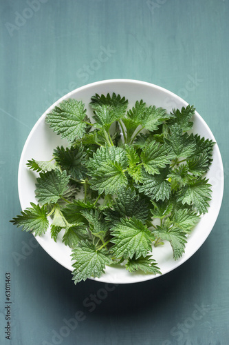 Photo: Close up of freshly cut stinging nettles Close up of freshly cut stinging nettles