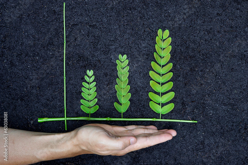 Photo: Hands holding tree arranged as a green graph on soil background Hands holding tree arranged as a green graph on soil background