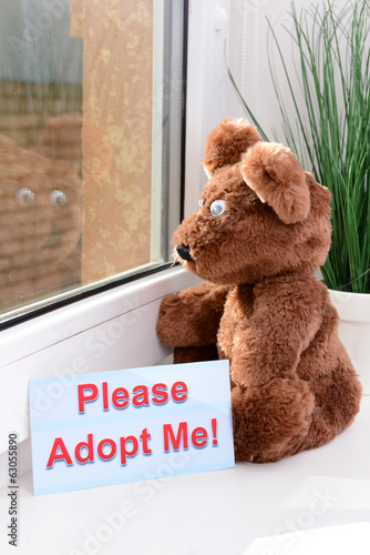 Photo: Toy-bear looking out window close-up Toy-bear looking out window close-up