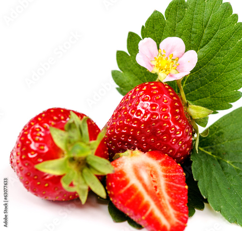 Photo: Sommer-Schönheiten: Frisch gepflückte Garten-Erdbeeren :) Sommer-Schönheiten: Frisch gepflückte Garten-Erdbeeren :)