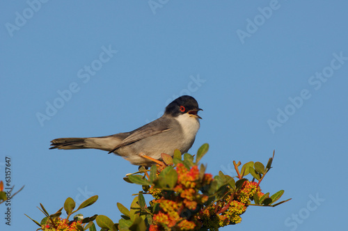 Photo: Occhiocotto Occhiocotto