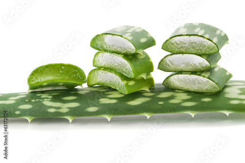 Photo: aloe vera aloe vera