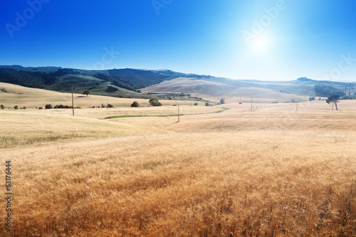 Photo: barley hills Tuscany, Italy barley hills Tuscany, Italy