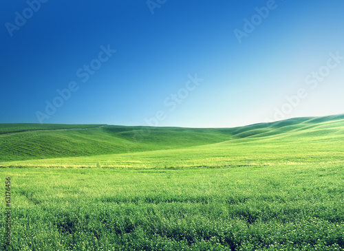 Photo: hills in sunny day Tuscany, Italy hills in sunny day Tuscany, Italy