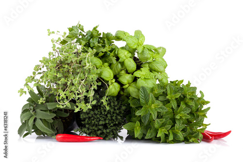 Photo: Aromatic Plants Mix Aromatic Plants Mix