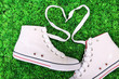 Beautiful gumshoes on green grass background Beautiful gumshoes on green grass background