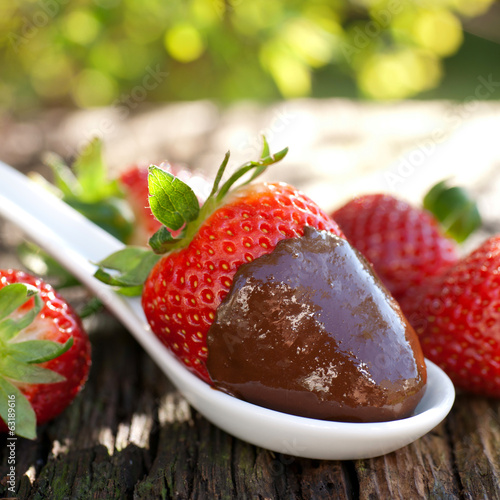 Photo: Erdbeere mit Schokolade Erdbeere mit Schokolade
