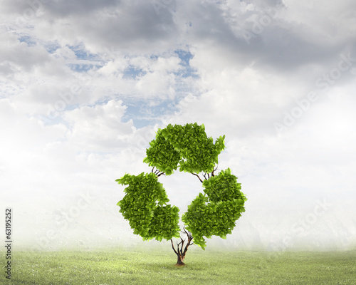 Photo: Recycle concept Recycle concept
