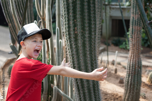 Photo: Boy jokingly hugging cactus and screams. Boy jokingly hugging cactus and screams.