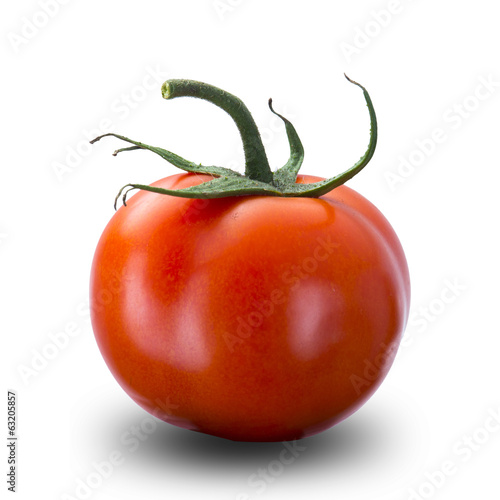 Photo: Fresh Tomato Fresh Tomato