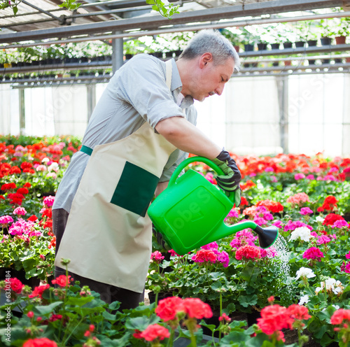 Photo: Greenhouse worker Greenhouse worker