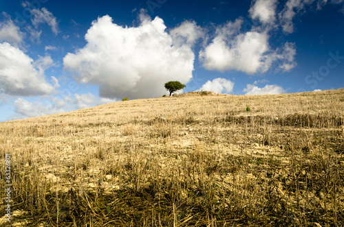 Photo: Sardegna, scenario di campagna Sardegna, scenario di campagna