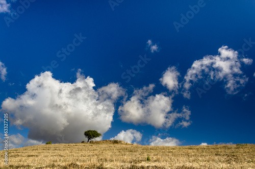 Photo: Sardegna, scenario di campagna Sardegna, scenario di campagna