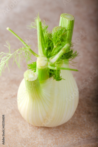 Photo: Fennel Fennel
