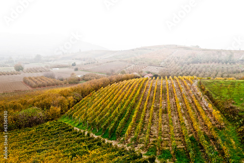 Photo: Campagna Campagna
