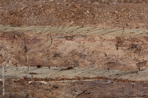 Photo: Wooden Cut Textured Wooden Cut Textured