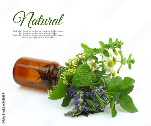Photo: Fresh herbs in a medical bottle Fresh herbs in a medical bottle