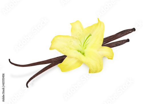 Photo: Vanilla pods and orchid flower Vanilla pods and orchid flower