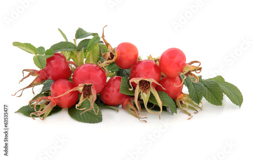 Photo: Rose Hip Fruit Rose Hip Fruit
