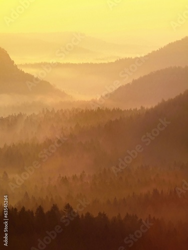 Photo: Autumn orange cold and misty daybreak in a beautiful park. Autumn orange cold and misty daybreak in a beautiful park.