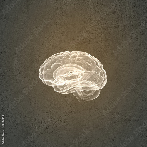 Illustration: Human brain Human brain