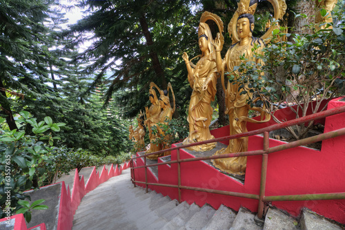 Photo: Ten Thousand Buddhas Monastery Steps, HK Ten Thousand Buddhas Monastery Steps, HK