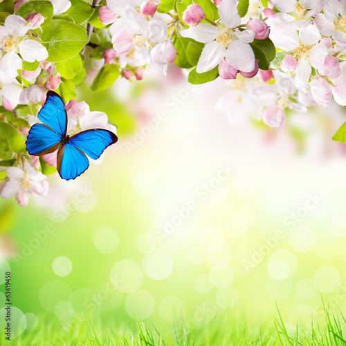  Spring background with free space for text