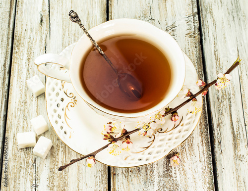 Photo: cup of tea with flowering branches apricots cup of tea with flowering branches apricots