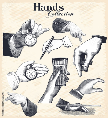 Vector: Hands Collection Hands Collection