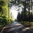 roadway roadway