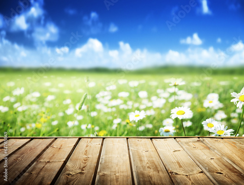 Photo: field of daisy flowers and wood floor field of daisy flowers and wood floor