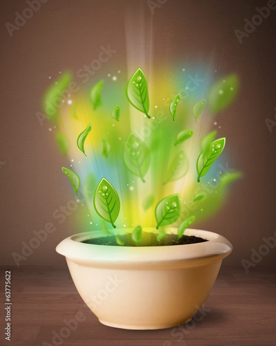 Photo: Glowing leaves coming out of flowerpot Glowing leaves coming out of flowerpot