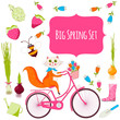 Big spring set Big spring set