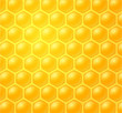honey making in honeycombs honey making in honeycombs