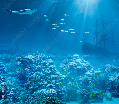 Fototapeta Sea or ocean underwater with shark and sunk treasures ship