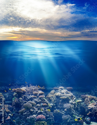  sea or ocean underwater life with sunset sky
